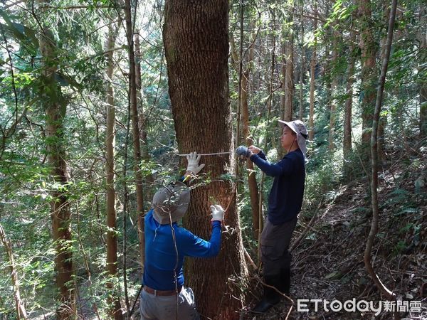 ▲林業保育署屏東分署招募國家森林調查監測志工             。（圖／林業保育署屏東分署提供）
