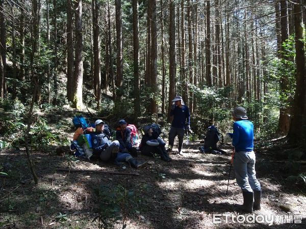 ▲林業保育署屏東分署招募國家森林調查監測志工             。（圖／林業保育署屏東分署提供）