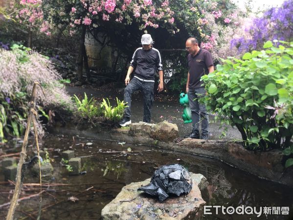 ▲南平山道田生態農場紫花季首度與鎮寶大飯店(埔里美術館)合辦「張家銘永續生態雕塑展」。（圖／記者高堂堯攝）