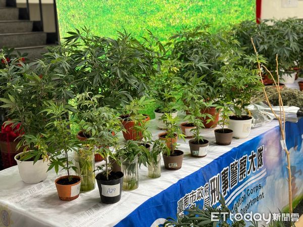 ▲台南市刑警大隊會同嘉義縣警局破獲豪宅大麻種植場，起獲市價近億大麻相關毒品，查獲劉、張2人犯嫌。（圖／記者林東良翻攝，下同）