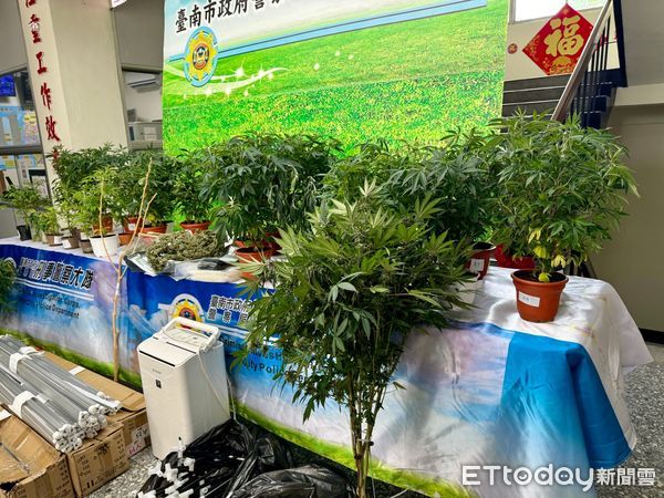 ▲台南市刑警大隊會同嘉義縣警局破獲豪宅大麻種植場，起獲市價近億大麻相關毒品，查獲劉、張2人犯嫌。（圖／記者林東良翻攝，下同）