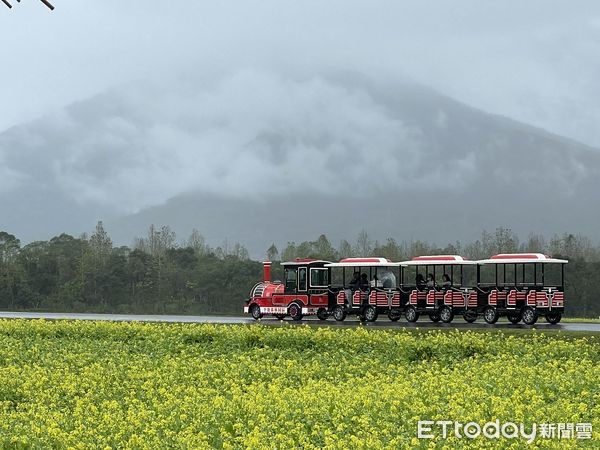 ▲▼大農大富平地森林園區夜晚星光與螢火交織美景。（圖／花蓮分署提供，下同）