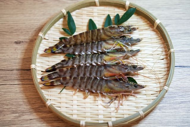 ▲▼草蝦,農業部漁業署,增肌減脂。（圖／取自photoAC）