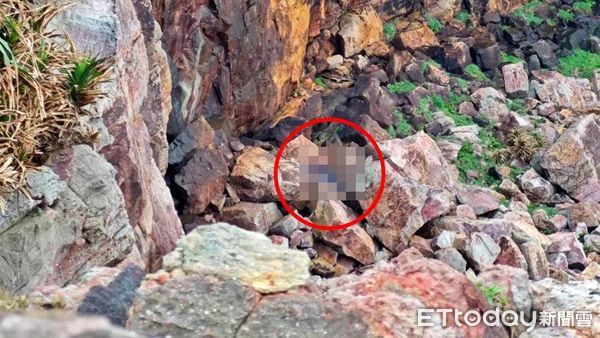 ▲貢寮觀景台15米高墜落 男無呼吸心跳。（圖／記者郭世賢翻攝）