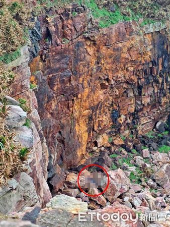 ▲貢寮觀景台15米高墜落 男無呼吸心跳。（圖／記者郭世賢翻攝）