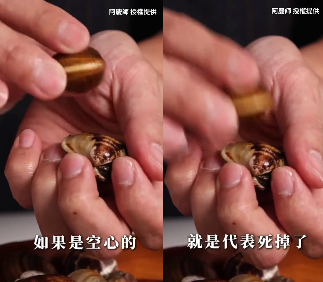 ▲▼蛤蠣吐沙「加1物」肉更鮮！名廚：冰3週保證活跳跳。（圖／阿慶師授權提供）