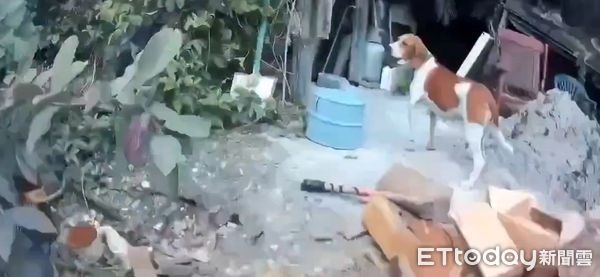 ▲專案小組攻堅查獲多把改造槍枝、非法彈藥等犯罪證物。（圖／記者王兆麟翻攝，下同）