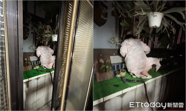 ▲▼             。（圖／原PO授權引用）