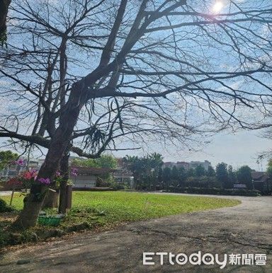 ▲▼   童年渡假村陳明順畫廊開放假日畫畫體驗營平日校外教學    。（圖／童年渡假村提供）