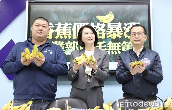 ▲▼國民黨團召開 香蕉價格暴漲 農業部束手無策 記者會 王鴻薇 羅智強 游顥 出席。（圖／記者屠惠剛攝）