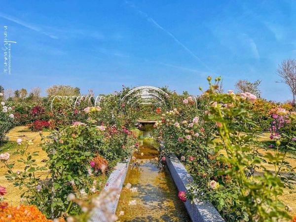 ▲▼全台景點六大花園秘境。（圖／ReadyGo提供）