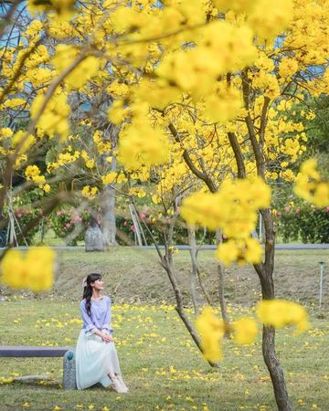 ▲▼全台景點六大花園秘境。（圖／ReadyGo提供）