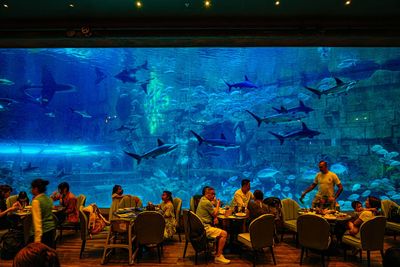 海底世界用餐！富國島最美水族館餐廳