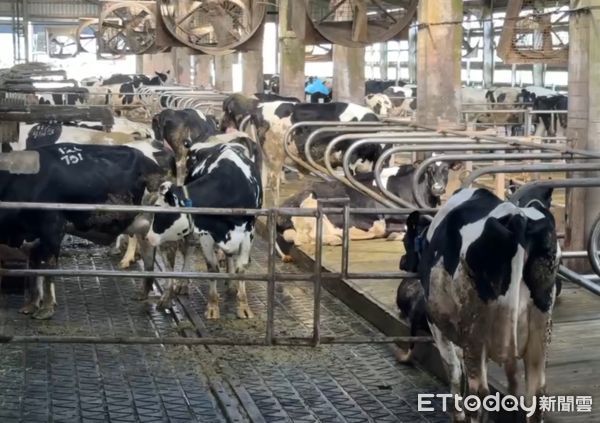 ▲台北市長蔣萬安今日率教育局、產業局、北農等相關單位南下彰化、雲林乳牛牧場考察。（圖／記者游瓊華翻攝）