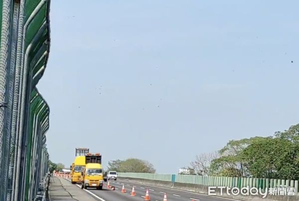 ▲雲林林內鄉觸口段為紫斑蝶遷徙由南向北的「中繼站」，今日上午出現每分鐘319隻紫斑蝶，達到國道林內段251至253公里外側車道封閉標準。（圖／記者游瓊華翻攝）