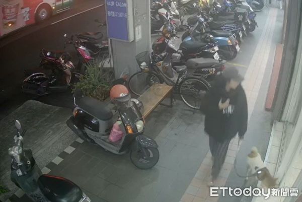 貓咪攻擊狗。（圖／新北市動保處提供）