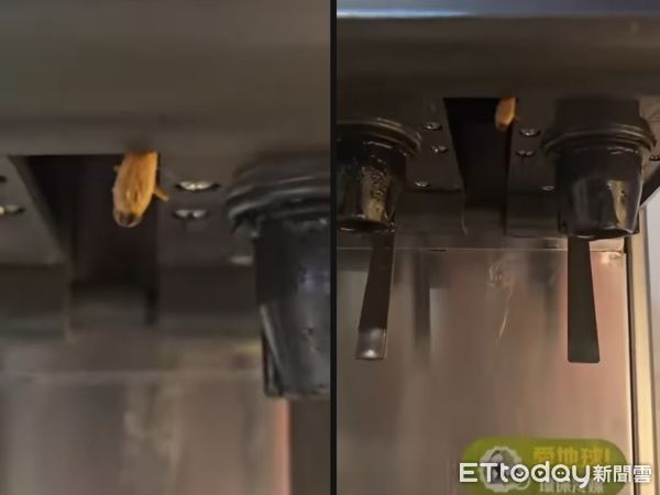 ▲學生拍下飲料機卡蟑螂畫面。（圖／threads／jy._.430授權提供）