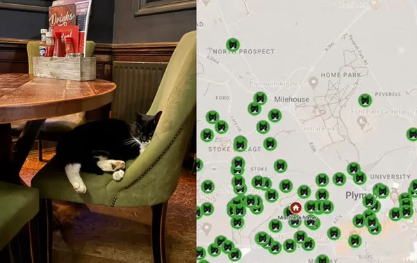 把全市當自己家趴趴走　可愛賓士貓成「社區萌寵」出沒地圖爆紅。（合成圖／翻攝自Facebook與TikTok）