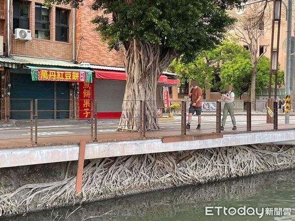 ▲▼高雄蓮池潭的榕樹根超壯觀，。（圖／高雄美食走跳-刁嘴公主授權提供，請勿隨意翻拍以免侵權）