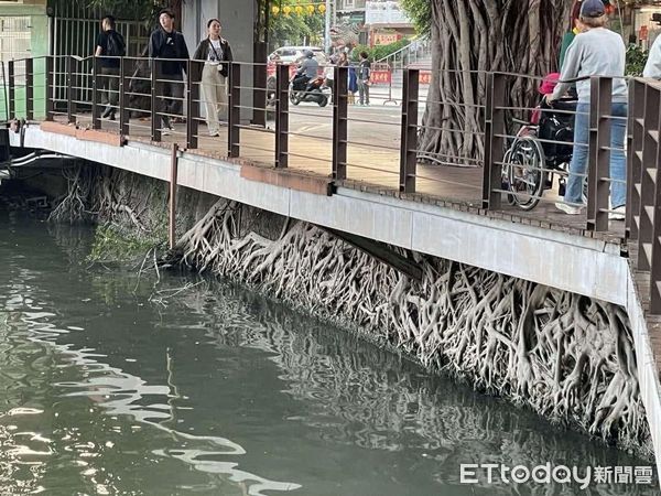 ▲▼高雄蓮池潭的榕樹根超壯觀，。（圖／高雄美食走跳-刁嘴公主授權提供，請勿隨意翻拍以免侵權）