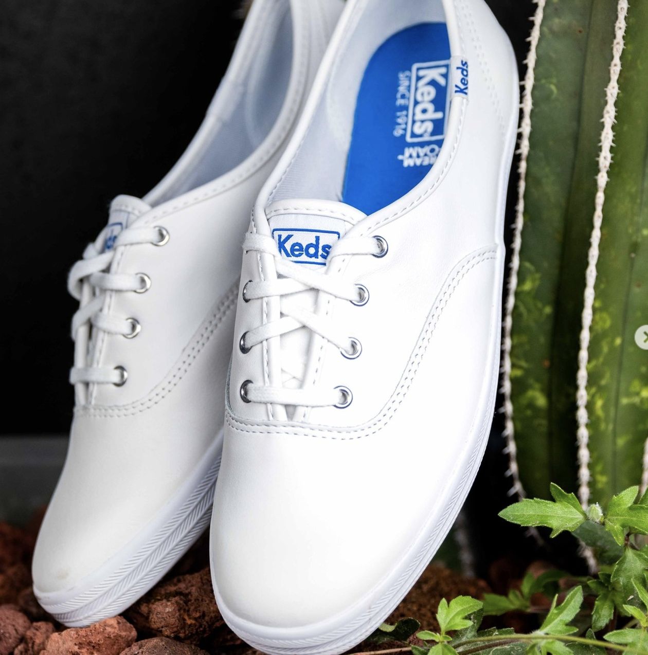 ▲▼   keds     。（圖／翻攝自IG）
