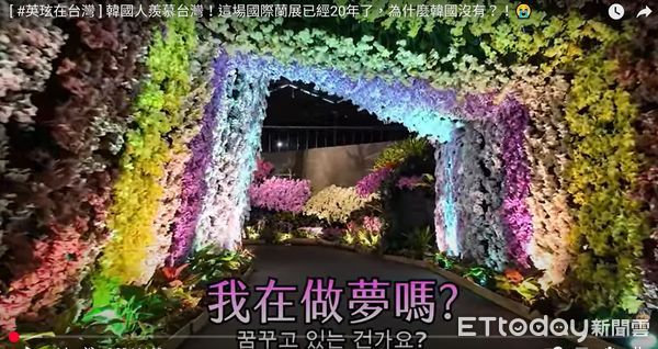▲2025亞太蘭花會議暨台灣國際蘭展在台南後壁區展出，韓國超人氣Youtuber英玹6個必看亮點，帶大家觀看蘭展。（圖／記者林東良翻攝，下同）