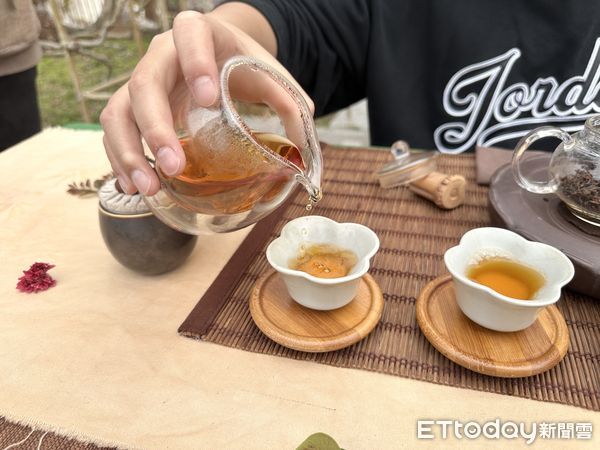 ▲▼  嘉義瑞里紫藤花祭即將登場，賞花資訊一次看   。（圖／嘉義縣政府提供）