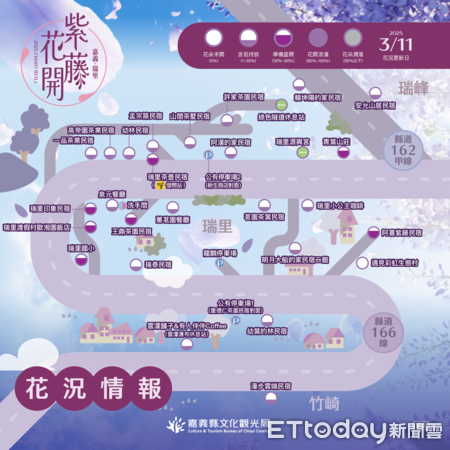 ▲▼  嘉義瑞里紫藤花祭即將登場，賞花資訊一次看   。（圖／嘉義縣政府提供）