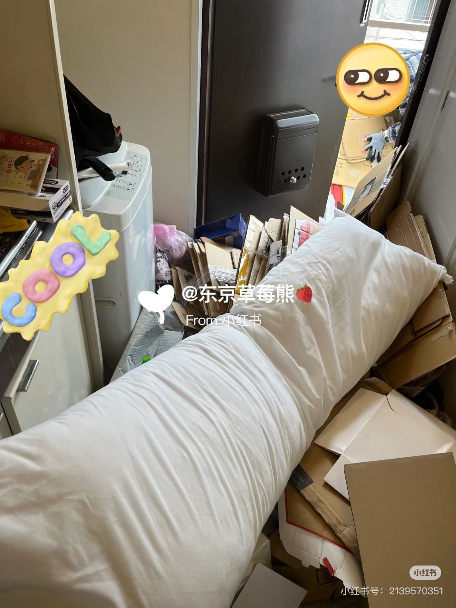 慎入！又有中國留學生　把日本宿舍變成垃圾屋「擠爆滿爆噁爆」