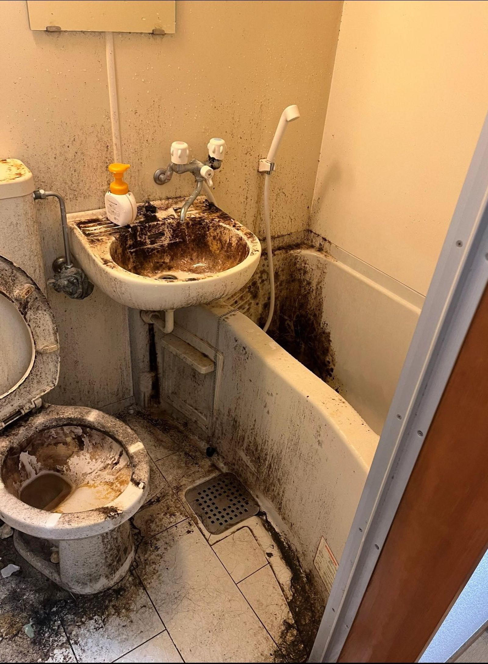 慎入！又有中國留學生　把日本宿舍變成垃圾屋「擠爆滿爆噁爆」