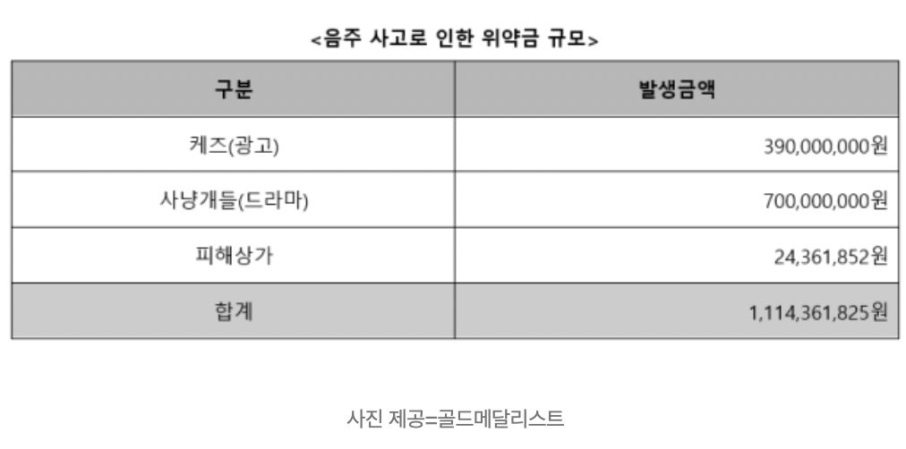 ▲金秀賢公司公開金賽綸的欠債細項。（圖／翻攝自《10asia》）