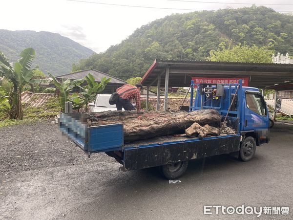 ▲▼警方逮山老鼠王姓男子，起出市價高達14萬6千元珍貴的扁柏3支。（圖／記者游芳男翻攝，下同）