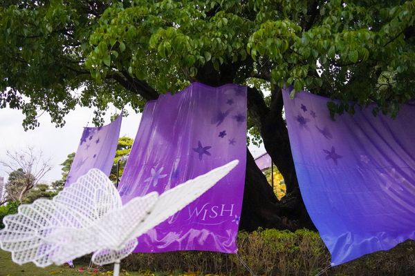 ▲永靖成美文化園進入紫藤花季。（圖／成美文化園提供）
