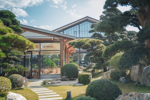 ▲永靖成美文化園進入紫藤花季。（圖／成美文化園提供）