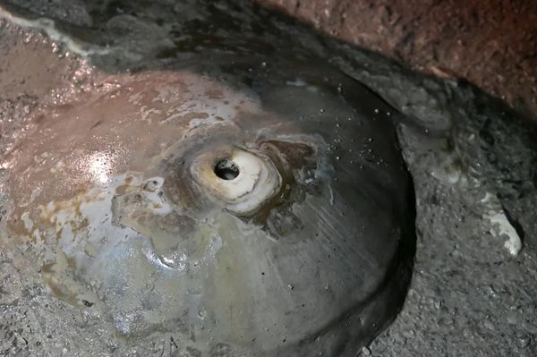 ▲▼遺世獨立的廢墟城堡？走進英國峰區揭密國家公園誕生的歷史。（圖／Travel with Leo授權提供）
