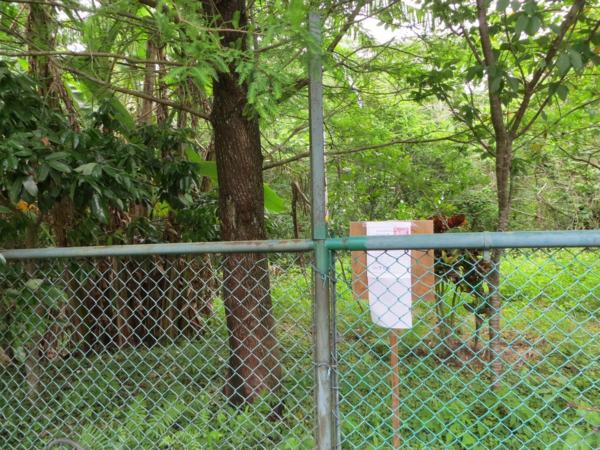 ▲竹科某建商破產倒閉，被發現欠稅20年。（圖／新竹市稅務局）