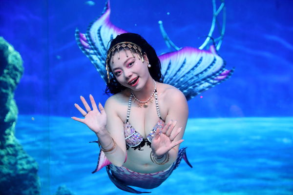 ▲花蓮遠雄海洋公園美人魚嘉年華。（圖／業者提供）