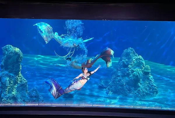 ▲花蓮遠雄海洋公園美人魚嘉年華。（圖／業者提供）