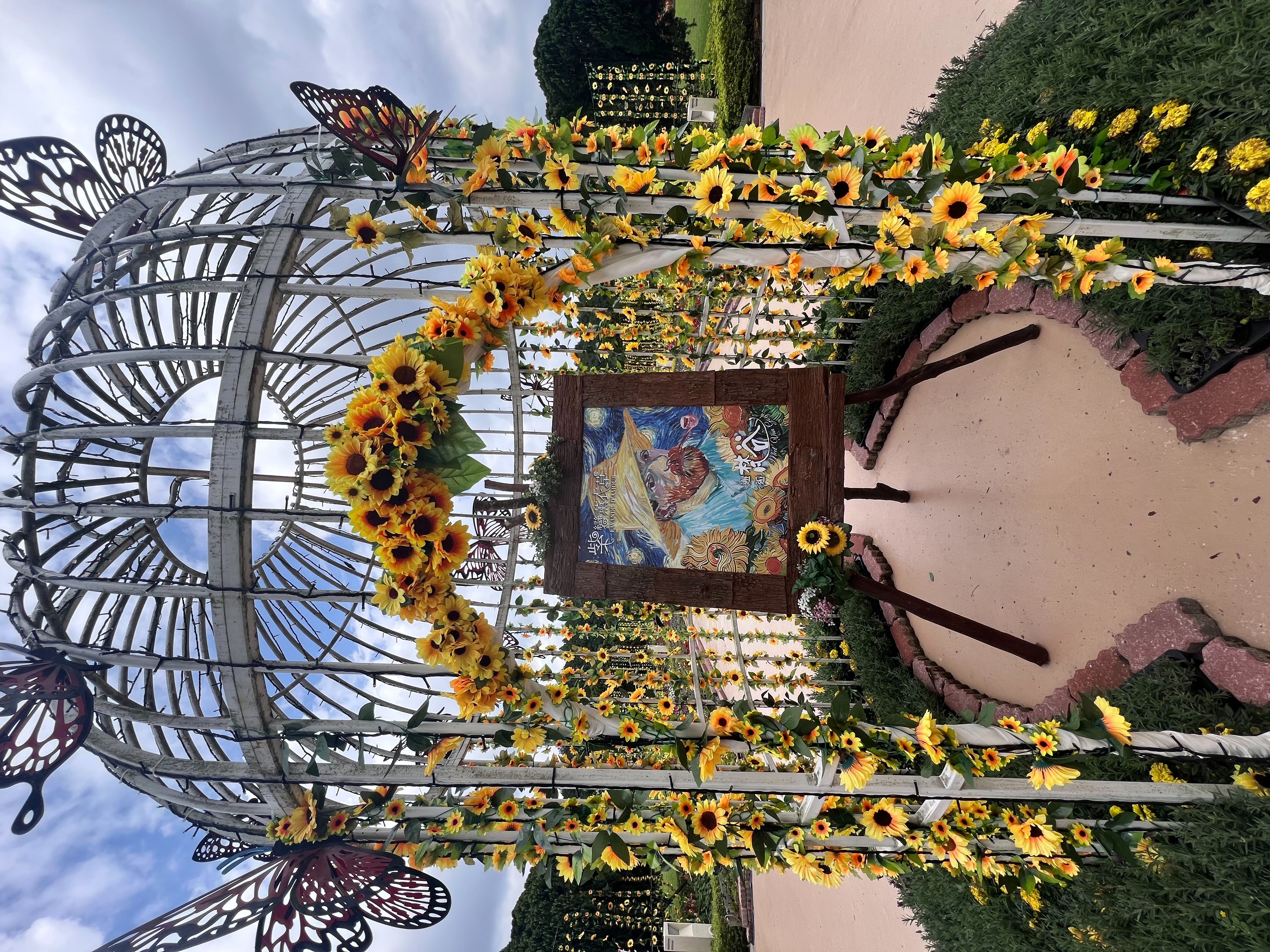 ▲九族文化村「邂逅梵谷」薰衣草季緊接著櫻花祭後登場。（圖／九族文化村提供）