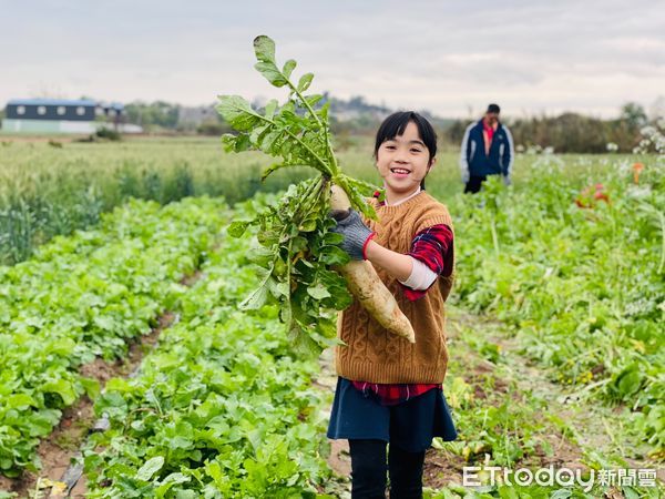 ▲▼「官澳遊程體驗」登場，大家一起製作金門傳統美食「菜頭圓」。（圖／記者林名揚翻攝）
