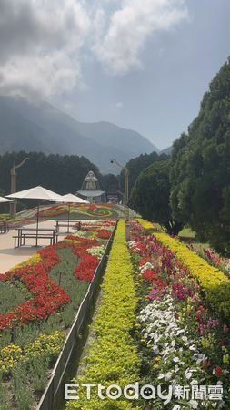 ▲九族文化村「邂逅梵谷」薰衣草季緊接著櫻花祭後登場。（圖／九族文化村提供）