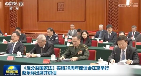 ▲▼ 林向陽、宋濤            。（圖／翻攝央視、人民日報）