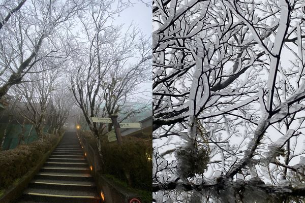 ▲▼太平山森林遊樂區今晨零度，霧淞乍現，若低溫持續且水氣足，將有下雪美景。（圖／太平山莊提供，下同）