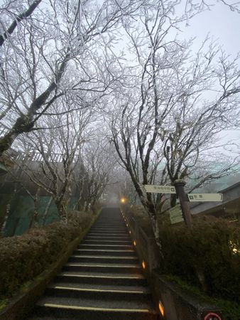 ▲▼太平山森林遊樂區今晨零度，霧淞乍現，若低溫持續且水氣足，將有下雪美景。（圖／太平山莊提供，下同）