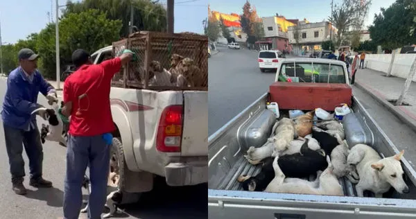 （圖／翻攝自IWAPC）