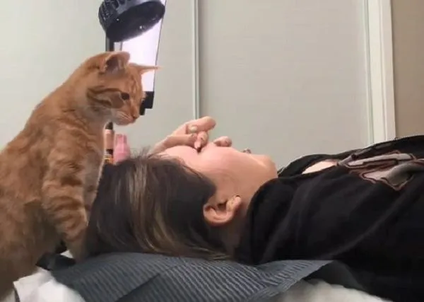 ▲睫毛沙龍出現「毛茸茸經理」　湊近客人臉監督施工品質。（圖／翻攝自TikTok／@justasexy22yroldgirl）