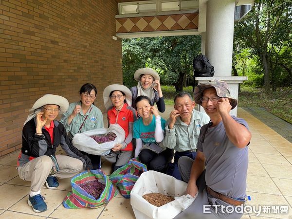 ▲解說志工採集種子。（圖／記者王兆麟翻攝，下同）