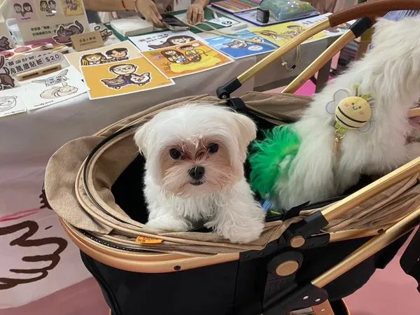 北車K區寵物嘉年華。（圖／東森寵物提供）
