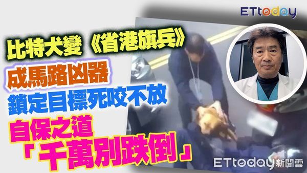 ▲獸醫師楊靜宇(劉邠如攝)說明彼特犬特性，及遇攻擊如何自保。（圖／合成圖）