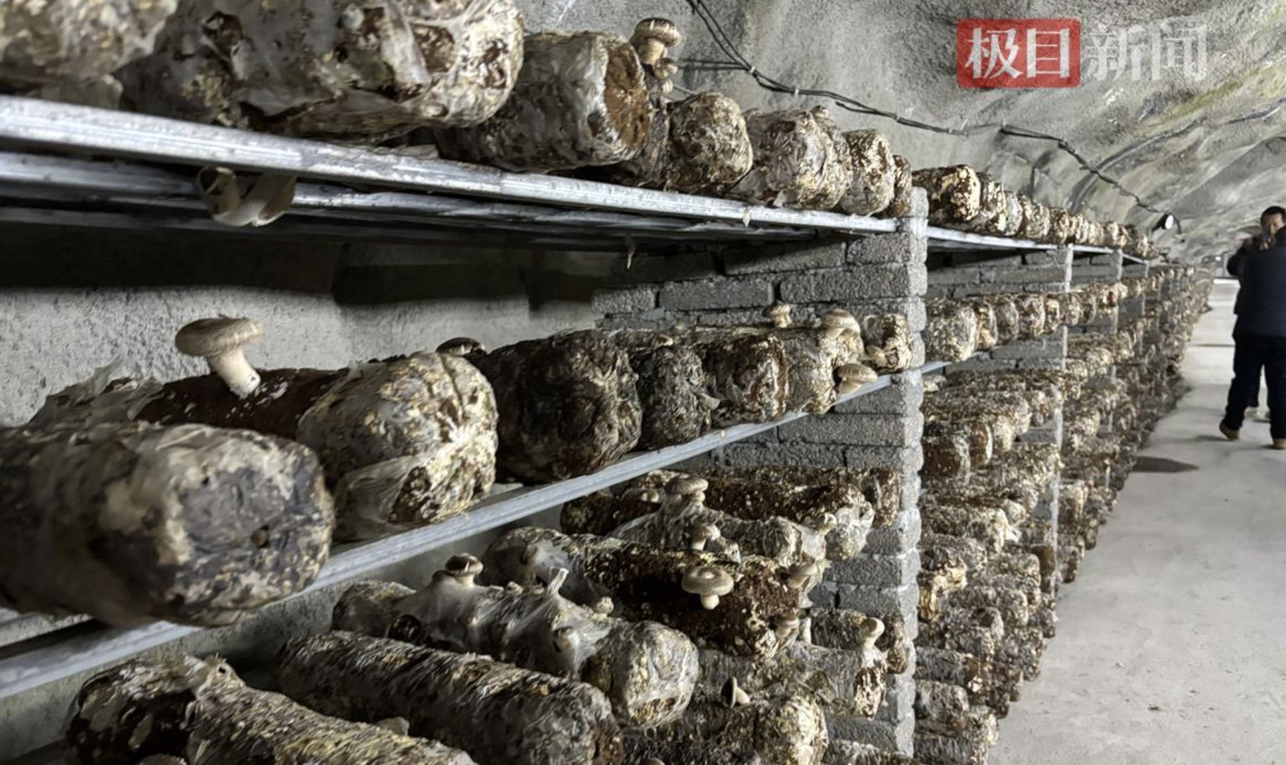▲湖北磷礦廢棄礦洞再生，接入DeepSeek大模型Ai監測。（圖／翻攝極目新聞）
